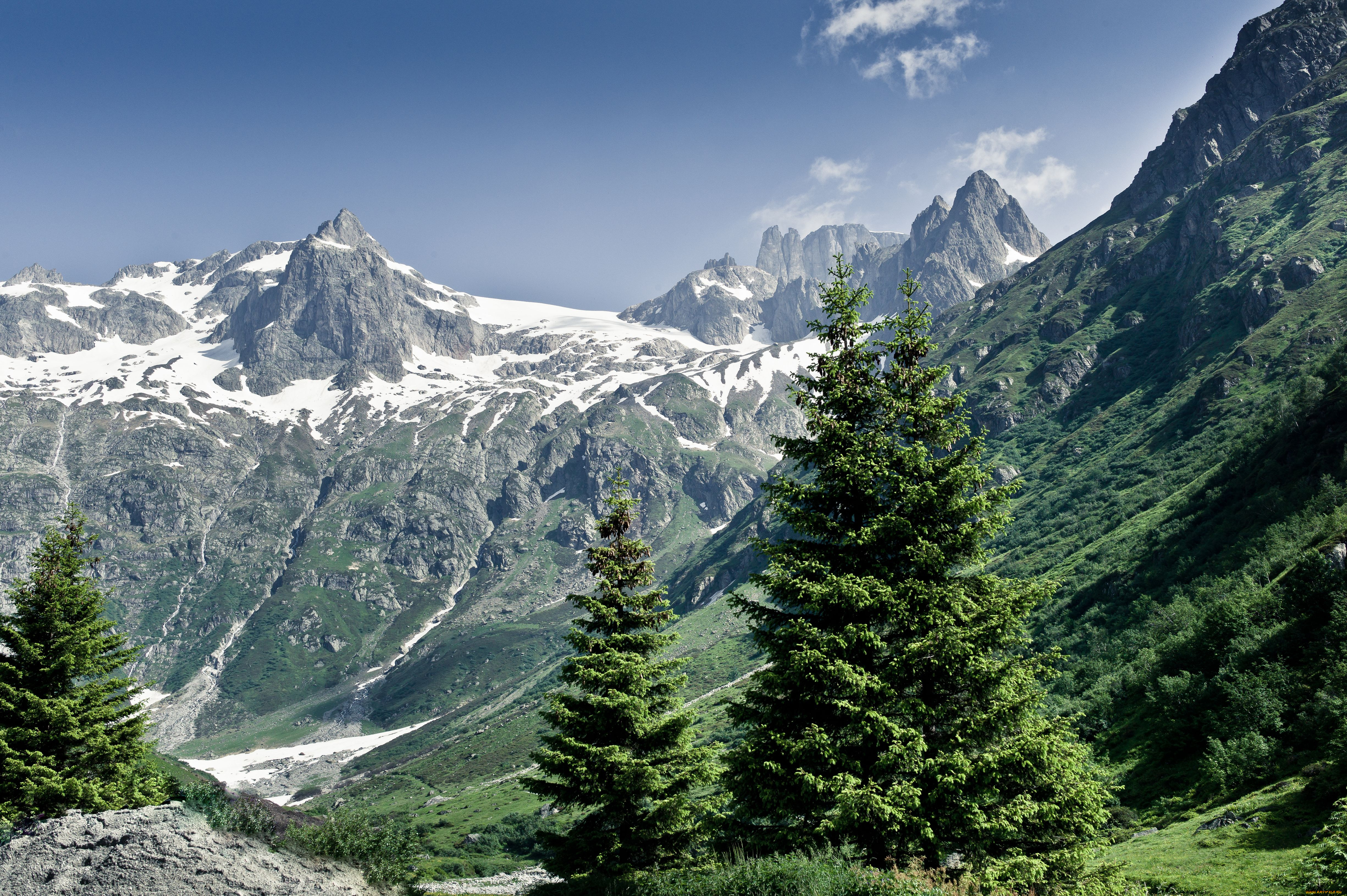 Gory. Пеннинские Альпы. Альпы Швейцария. Горы лес Альпы. Горная система Альпы.